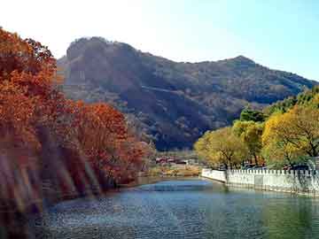 新澳天天开奖资料大全旅游团，碳素消字灵